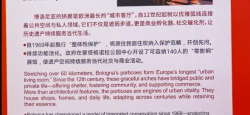 pannello in cinese con la foto eseguita da uno studente del Galvani