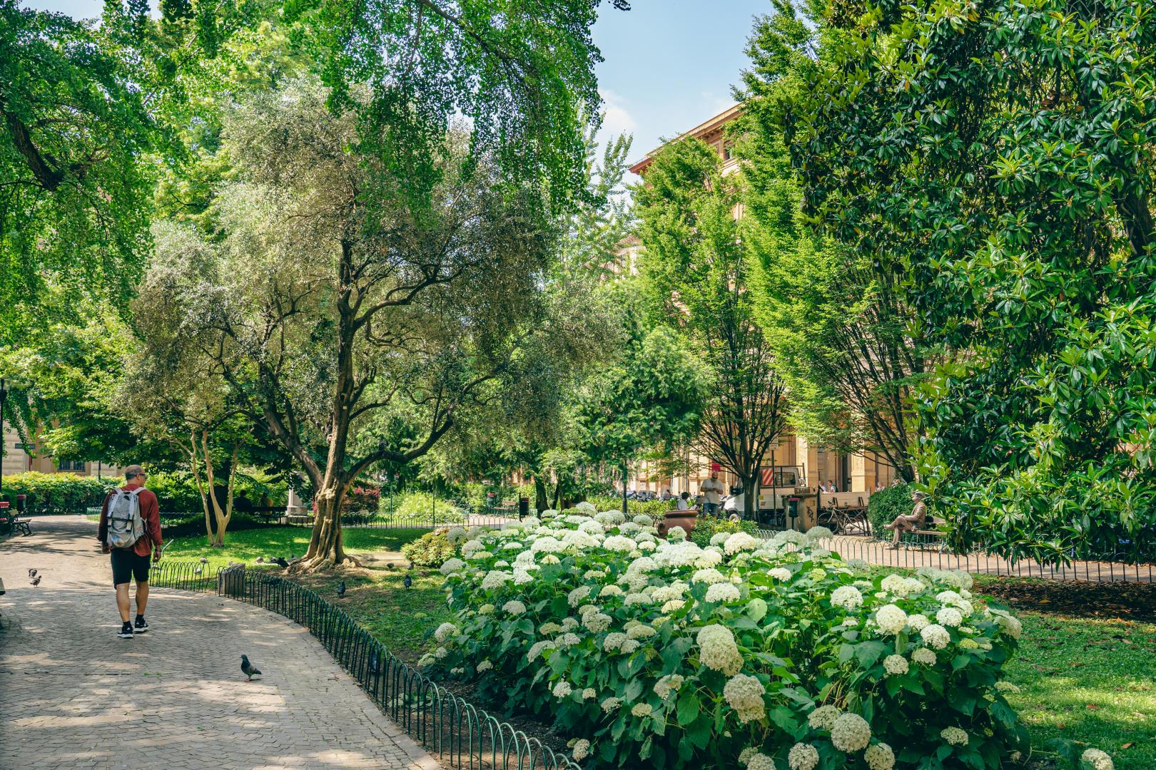 vista della piazza cavour