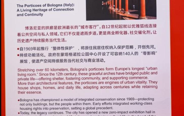 pannello in cinese con la foto eseguita da uno studente del Galvani