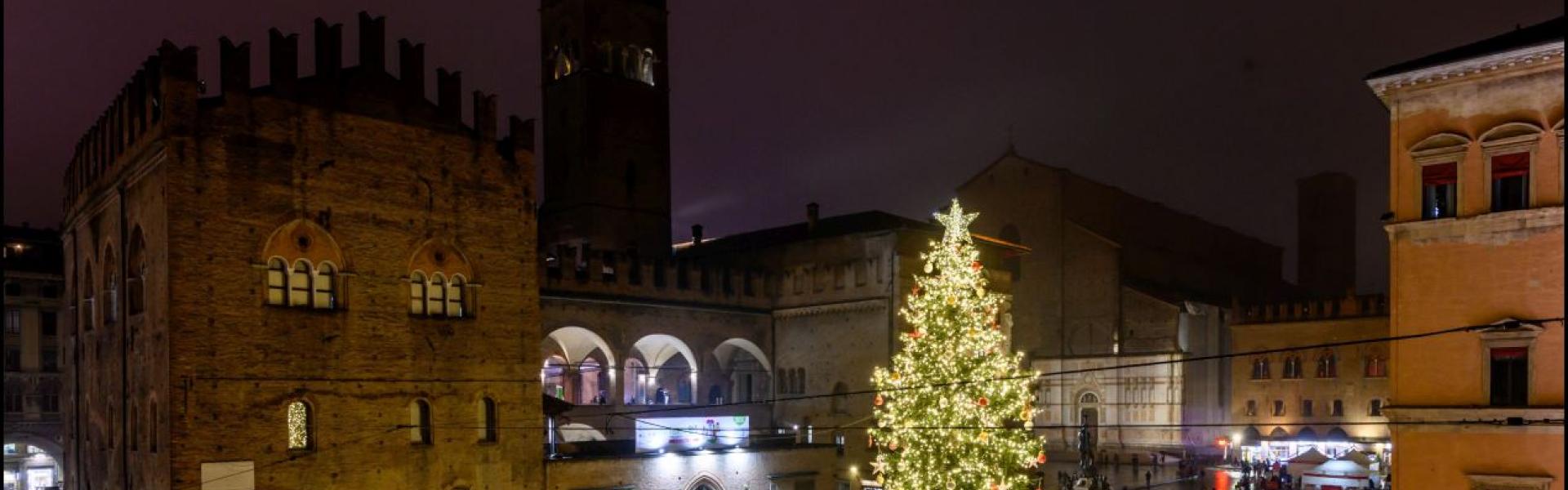 albero di natale in piazza nettuno